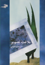 بلاغت تصویر