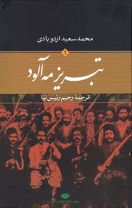 تبریز مه آلود 1