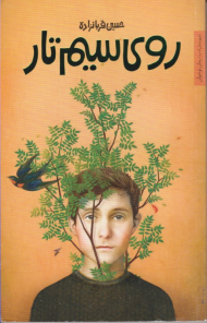 روی سیم تار