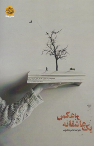 یک عاشقانه بر عکس (مجموعه ای از بهترین داستان های کوتاه جهان)