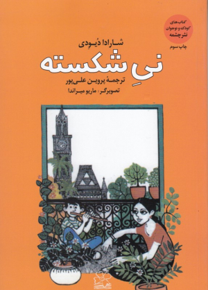 نی شکسته