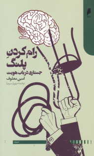 رام کردن پلنگ (جستاری در باب هویت)