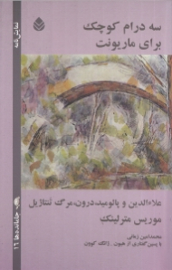 3 درام کوچک برای ماریونت (علاءالدین و پالومید درون مرگ تنتاژیل) نمایش‌نامه