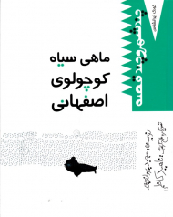 ماهی سیاه کوچولوی اصفهانی (چند شهر و چند قصه - کودکان ایرانشناس)