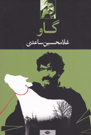 گاو