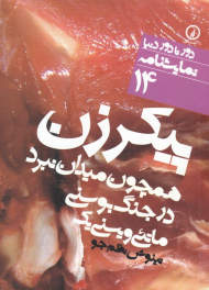 پیکر زن همچون میدان نبرد در جنگ بوسنی