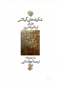 شکوفه های گیلاس (هایکو از باشو تا امروز)