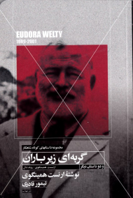 گربه ای زیر باران و دو داستان دیگر