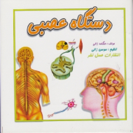 دستگاه عصبی