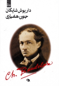 جنون هشیاری