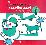 پسرک و دوازده ماه سال