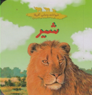 شیر (حیوانات وحشی آفریقا)