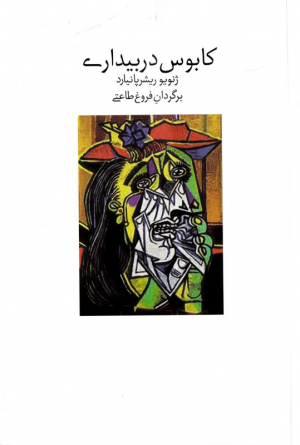 کابوس در بیداری