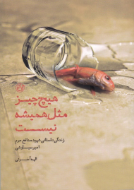 هیچ چیز مثل همیشه نیست (زندگی داستانی شهید مدافع حرم امیر سیاوشی)