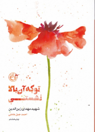 تو که آن بالا نشستی (زندگینامه شهید مهدی زین الدین) - از چشم ها 5