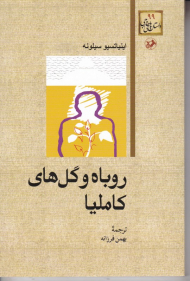 روباه و گل های کاملیا