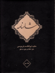 شاهنامه فردوسی جلد 3 (متن انتقادی چاپ مسکو) - دوره10جلدی