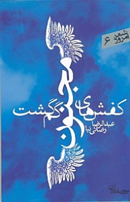 کفش های مجنون گم گشت