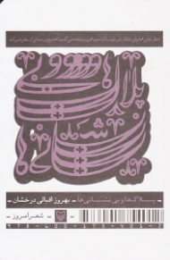 پلاک ها و بی نشانی ها (مجموعه شعر)