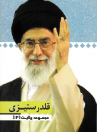 مجموعه ولایت 14 (قلدر ستیزی)