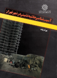 آسیب شناسی حاشیه نشینی در شهر تهران