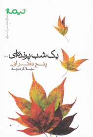 یک شب پرنده ای (پازل شعر امروز)