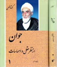 جوان از نظر عقل و احساسات(2 جلدی)