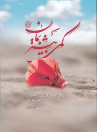 کمی بیشتر بمان (زندگینامه داستانی شهید مدافع حرم اکبر شهریاری)