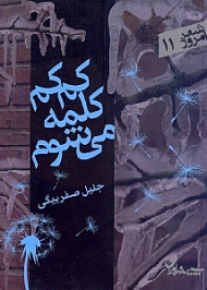 کم کم کلمه می شوم (مجموعه رباعی)