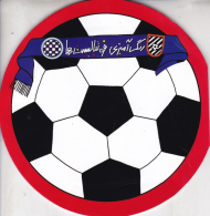 رنگ آمیزی فوتبالیست ها