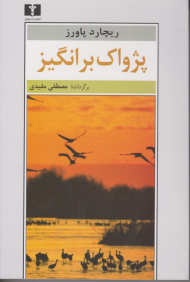 پژواک برانگیز