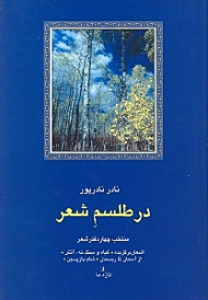 در طلسم شعر (منتخب چهار دفتر شعر)