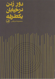 دور زدن در خیابان یکطرفه