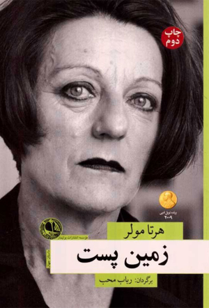 زمین پست