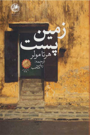 زمین پست