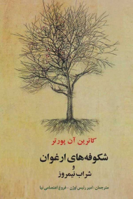 شکوفه های ارغوان و شراب نیمروز