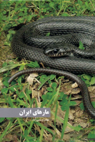 مارهای ایران