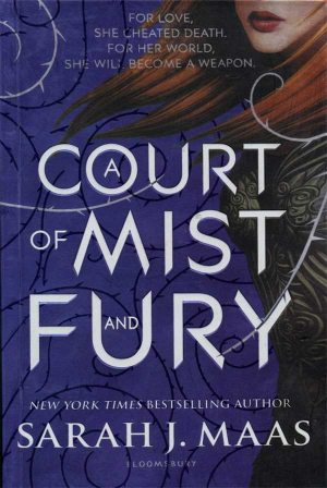 A COURT OF MISR AND FURY