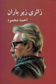 زائری زیر باران