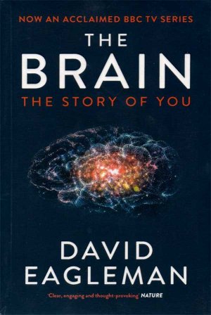 The Brain