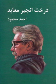 درخت انجیر معابد (2 جلدی)