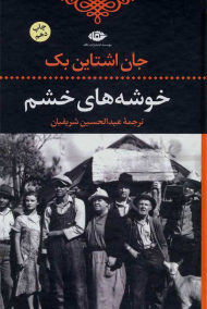 خوشه های خشم