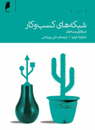 شبکه های کسب و کار (استراتژی و ساختار)