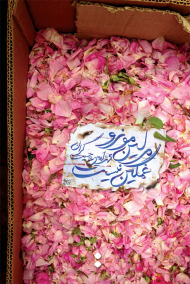 مرلین مونرو غمگین نیست