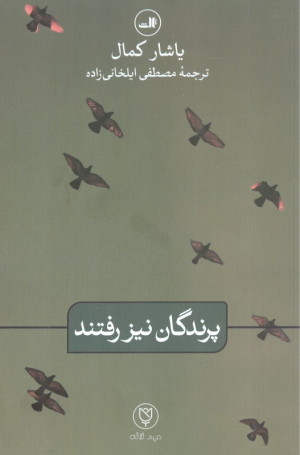 پرندگان نیز رفتند