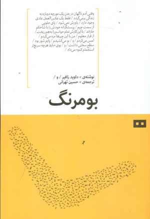بومرنگ