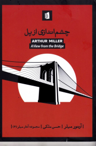 چشم اندازی از پل