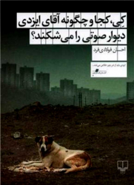 کی، کجا و چگونه آقای ایزدی دیوار صوتی را می شکند؟