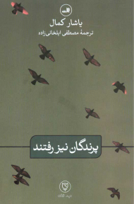 پرندگان نیز رفتند