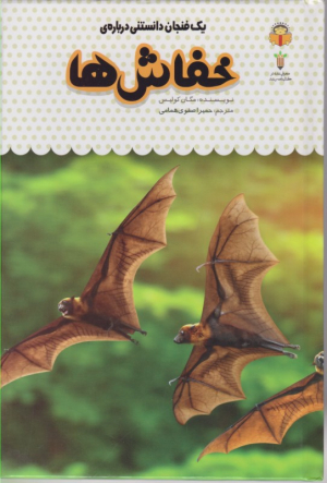 خفاش ها (یک فنجان دانستنی درباره 7)